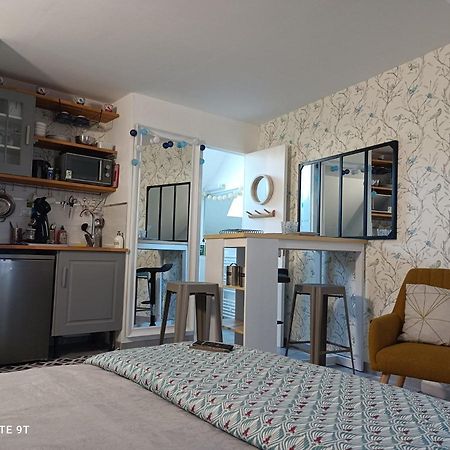 Tres Beau Studio Climatisation, Trois Etoiles, Parking A Velo, Velos En Option, Parking Prive Jardin Montargis Exteriör bild