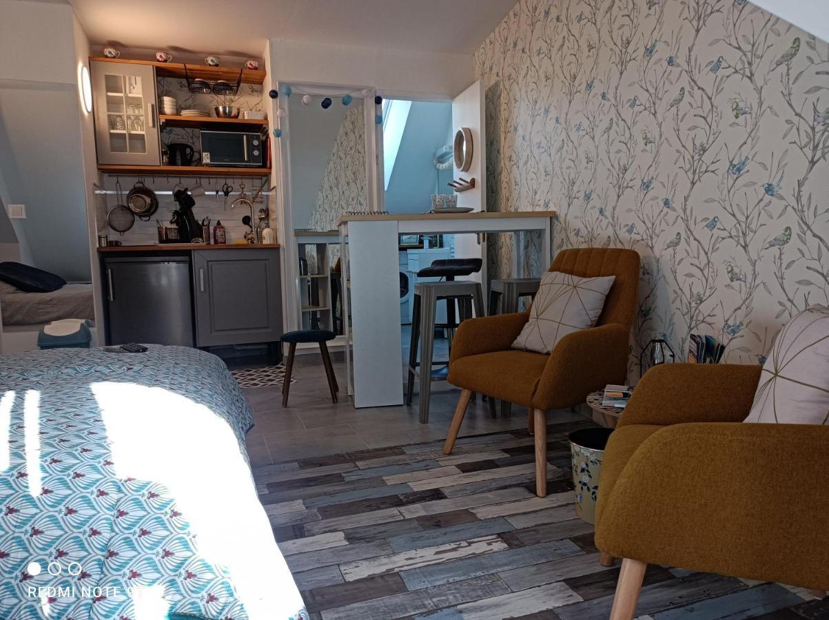 Tres Beau Studio Climatisation, Trois Etoiles, Parking A Velo, Velos En Option, Parking Prive Jardin Montargis Exteriör bild