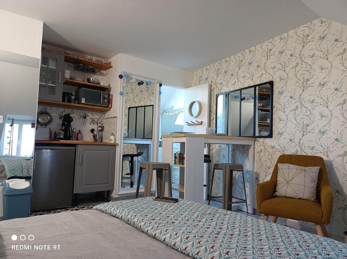 Tres Beau Studio Climatisation, Trois Etoiles, Parking A Velo, Velos En Option, Parking Prive Jardin Montargis Exteriör bild