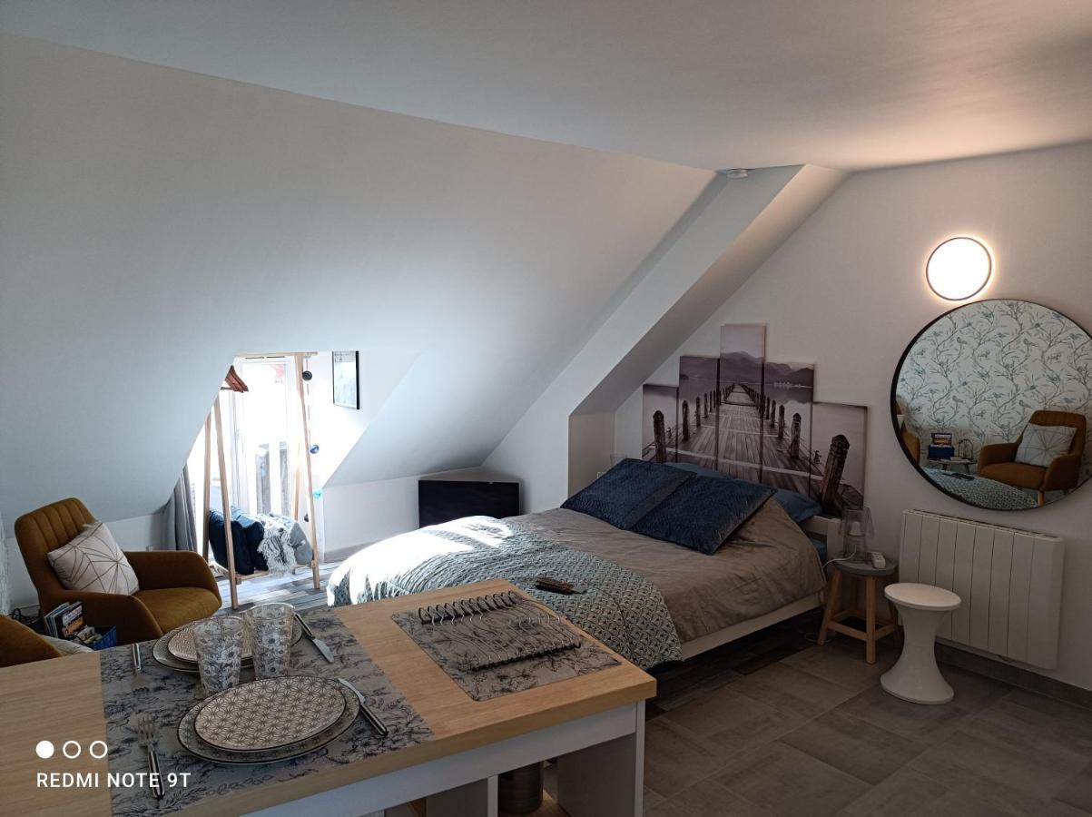 Tres Beau Studio Climatisation, Trois Etoiles, Parking A Velo, Velos En Option, Parking Prive Jardin Montargis Exteriör bild
